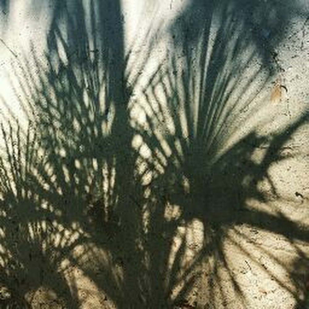 Meet your Posher, Lindsay